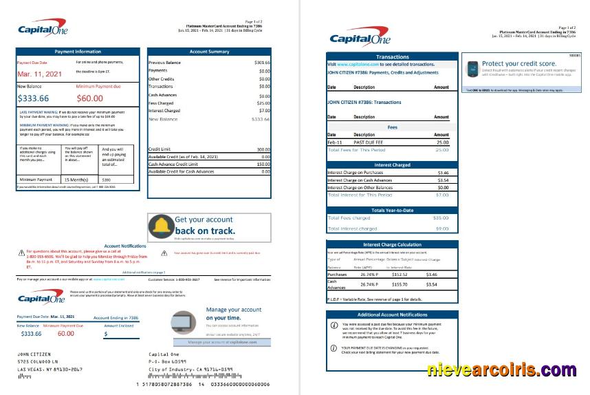 USA Capital One bank statement in Excel and PDF format (2 pages) version 3